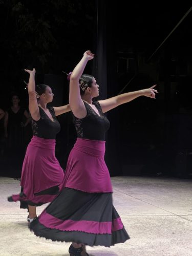 Festival S2Fitness Agosto 2025