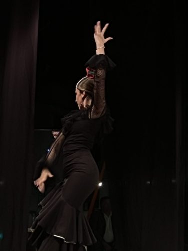 Festival S2Fitness Agosto 2025