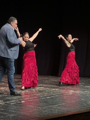 Festival S2Fitness Diciembre 2024