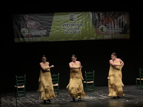 Festival S2Fitness Diciembre 2024