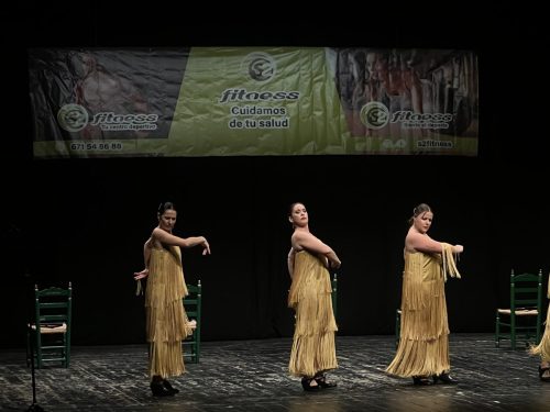 Festival S2Fitness Diciembre 2024