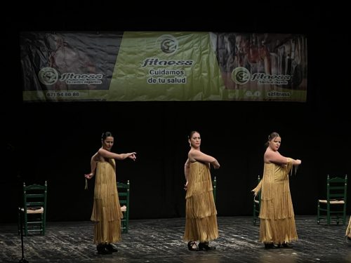 Festival S2Fitness Diciembre 2024